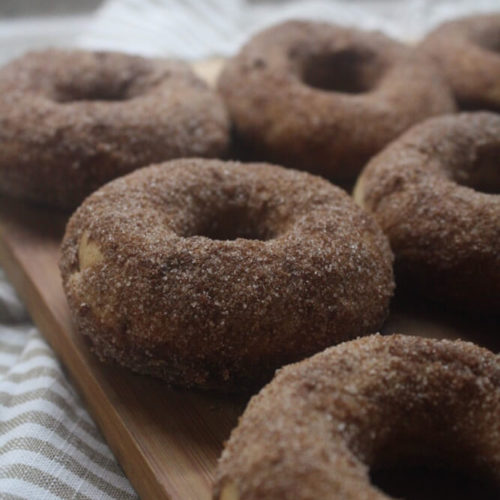 closeup view of apple cider doughnut rows