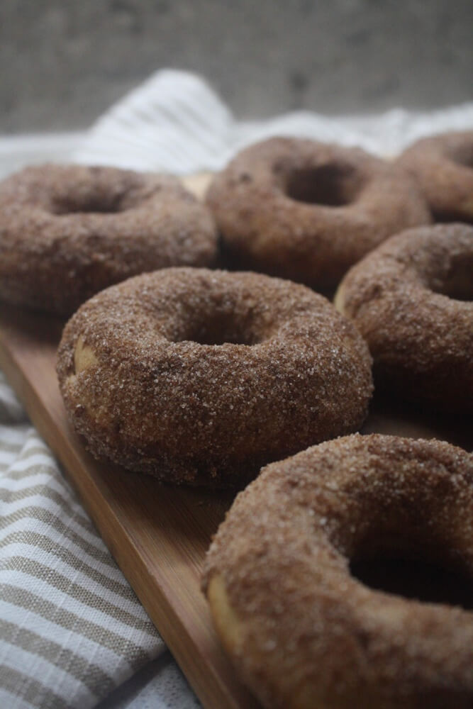 closeup view of doughnut rows