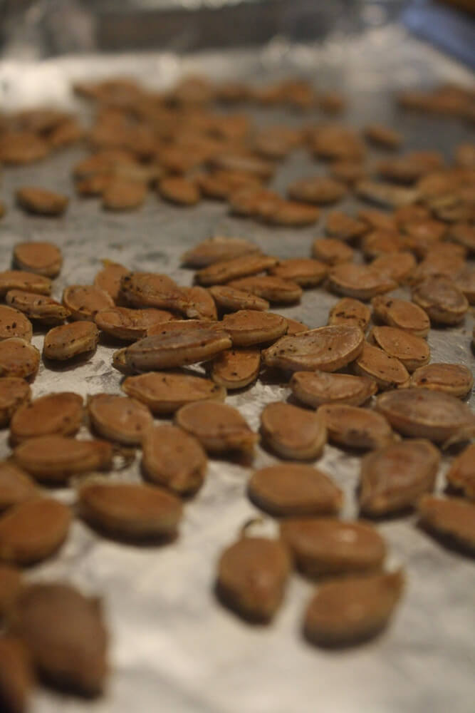 roasted pumpkin seeds on tray