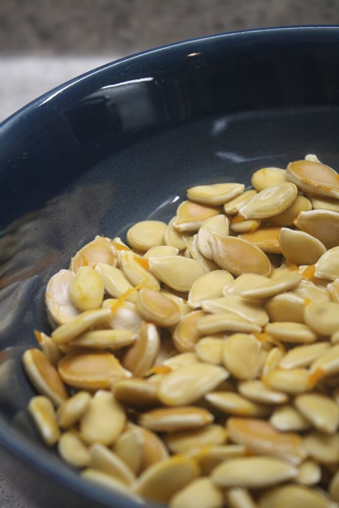 dry seeds in blue bowl